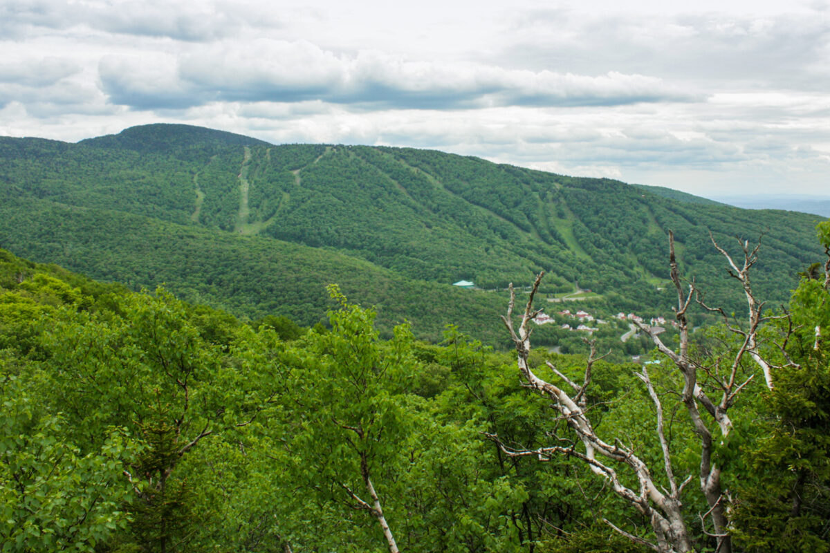 Mont SUTTON