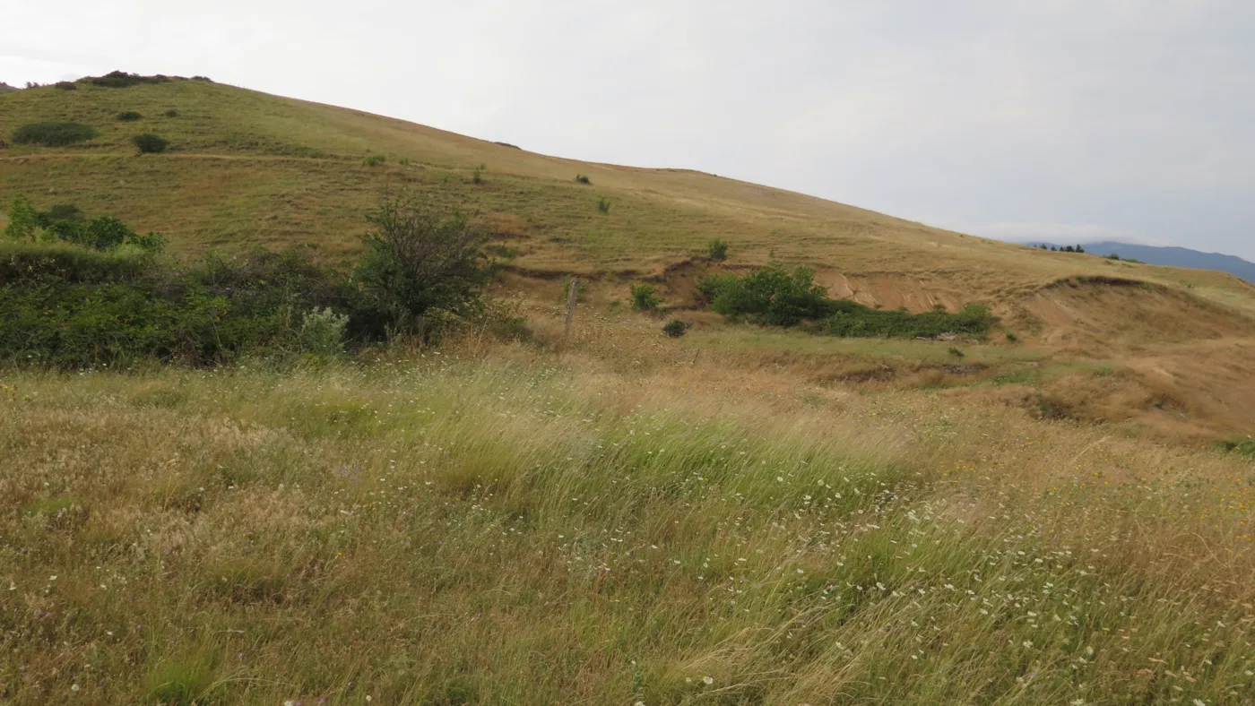 Tiblisi diplomatic village hill